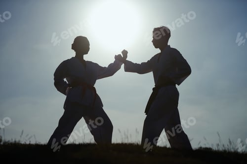 Preview: Taekwondo Sportsmen Fighting