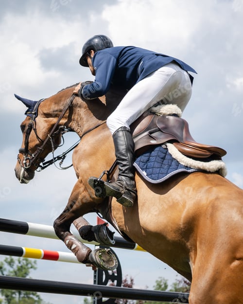 Preview: Horse jumping jockey riding a horse with a blue sky background, Show Jumping, Equestrian Sports.