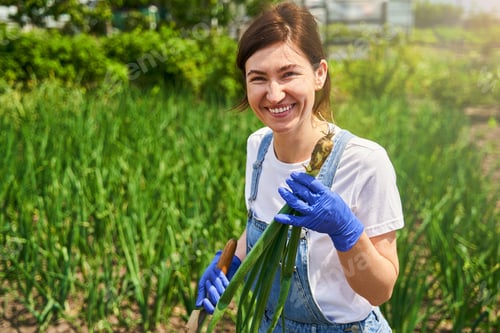 Preview: Smiling female person harvesting and preparing blanks