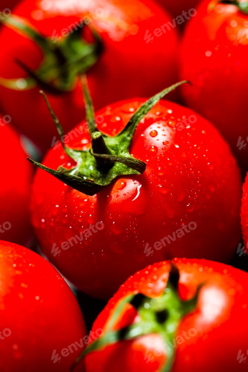 Preview: Red tomatoes with water drops