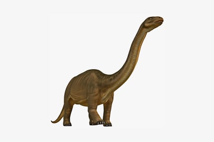 Preview: Brachiosaurus lateral view