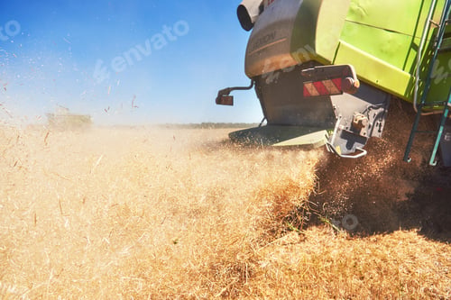 Preview: very close up combine harvesting wheat