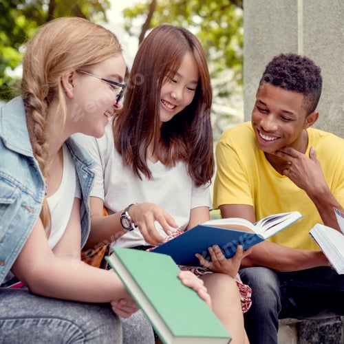 Preview: Young Diverse Group Studying Outdoors Concept