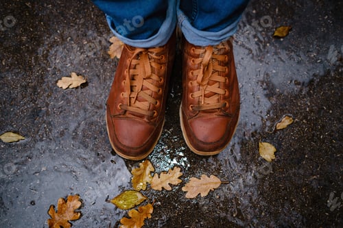 Preview: feet of a woman walking along asphalt road in autumn forest