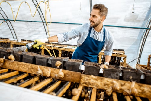 Preview: Man working on a farm with snails