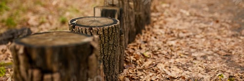 Preview: Beautiful pattern for concept design autumn forest, Travel Lifestyle concept