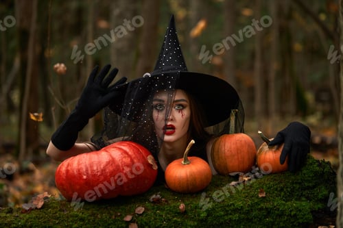 Preview: Young woman in black dress with witch hat and orange pumpkin placed around in the forest, Halloween