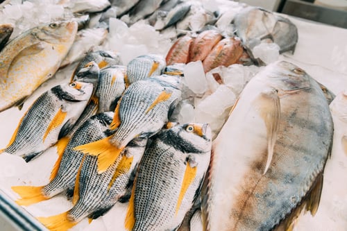 Preview: Fresh fish on display on ice on fishermen market store shop. Seafood fish. Top view. Dubai fish