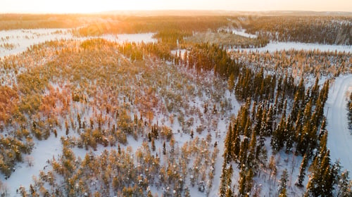 Preview: Aerial view of the lake and forest on a cold winter day sunrise