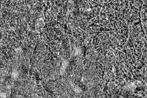 Preview: Abstract Texture Background Of A Surface Of The Water And Bottom Monochrome Tone