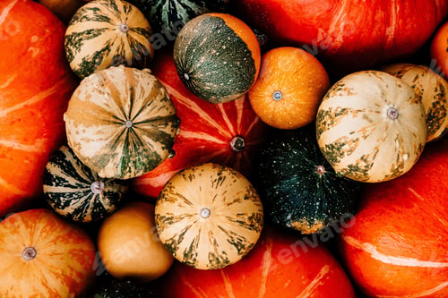 Preview: Pumpkin background for thanksgiving and halloween.