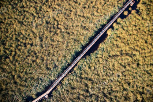 Preview: Aerial view swamp Viareggio