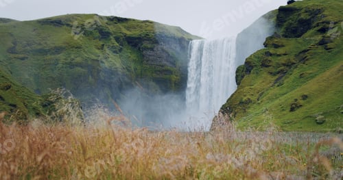 Preview: Iceland Skogafoss waterfall with foliage field in foreground