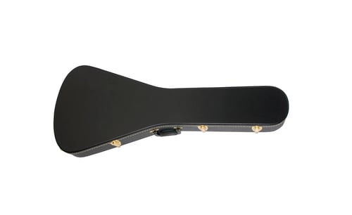 Preview: Guitar case isolated on white