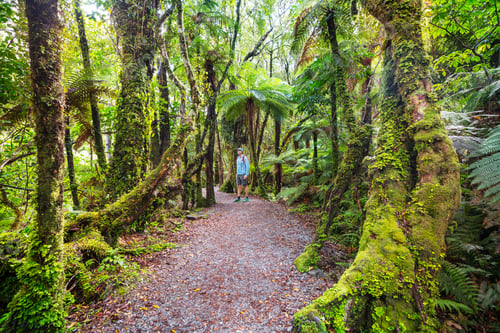 Preview: Tramping