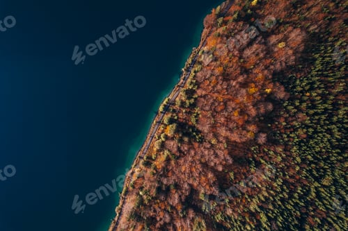 Preview: Aerial Top down texture Autumn Trees with turquoise lake, germany austria italy