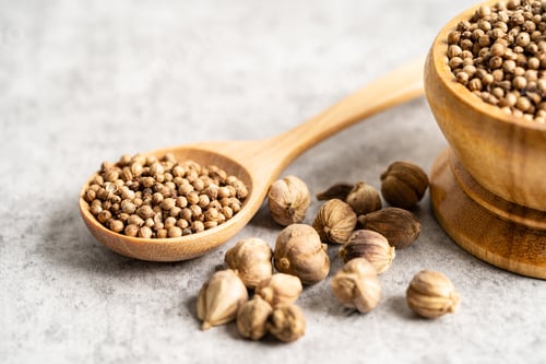 Preview: Coriander and siam cardamom, Amomum krervanh Pierre, Asia dried spices herb for drug and Thai cookin