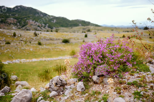 Preview: Picturesque view a mountain valley. Background. Wallpaper.