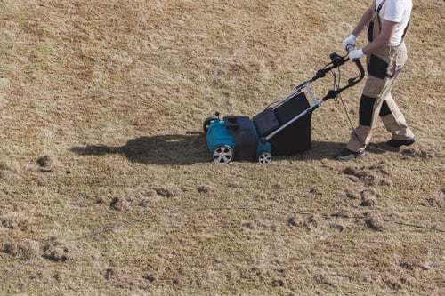 Preview: Scarifying lawn with scarifier, Man gardener scarifies the lawn and removal of old grass