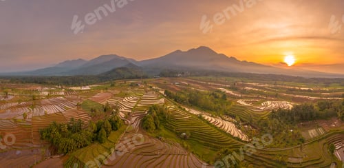 Preview: Beautiful morning view in Indonesia, panoramic landscape of rice fields with mountain