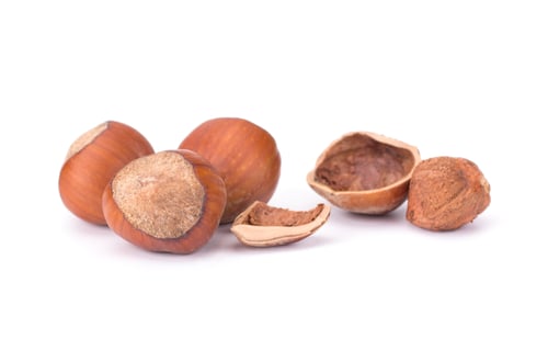 Preview: Hazelnut or filbert nut isolated on white background cutout