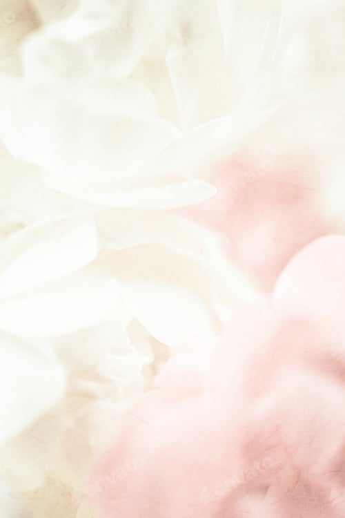 Preview: Sweet Color Roses In Soft And Blur Style On Mulberry Paper Texture