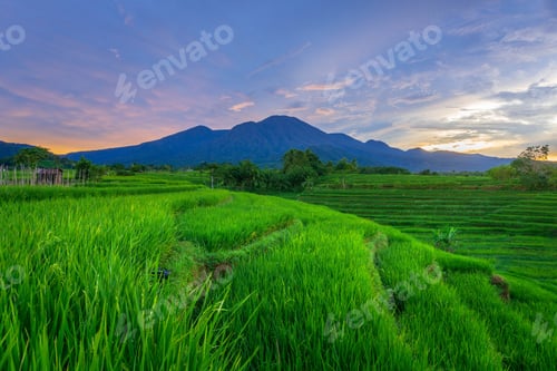 Preview: beautiful morning view from Indonesia of mountains and tropical forest