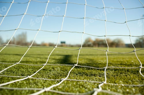 Preview: Football goal net, green grass