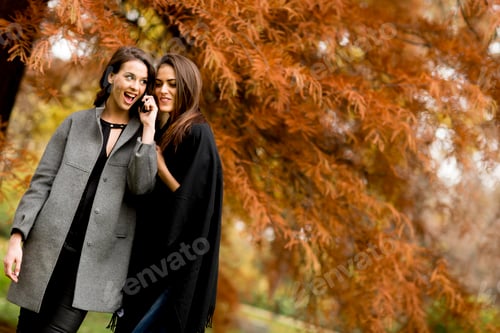 Preview: Two pretty young women using mobile phone in the autumn forest