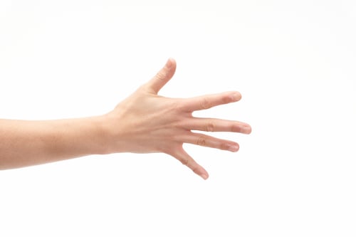 Preview: Open fist with five fingers on a white background