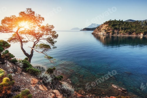 Preview: Panoramic view on sea coast. Turkey