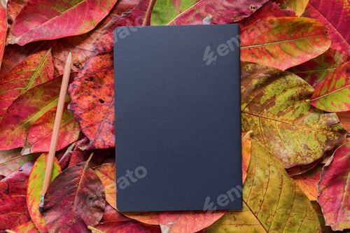 Preview: Black matt blank journal fallen autumn colorful leaves Mock up design Minimalism Education concept