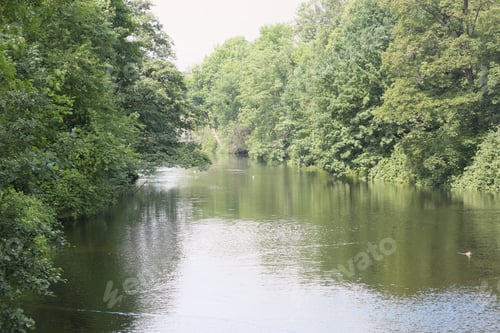 Preview: calm and slow river flowing through the forest. lush green trees growing on banks.