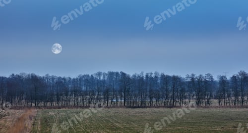 Preview: Wintertime - countryside in Denmark. Winter landscape on a sunny day with blue sky.