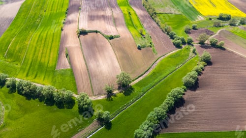 Preview: Colorful agriculture farmland and crop fields. Aerial drone view