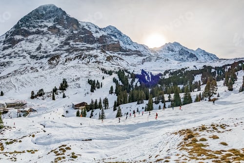 Preview: Ski slopes and mountains in Jungfrau ski resort in Swiss Alps, Grindelwald, Switzerland