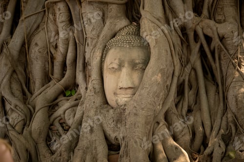 Preview: Old Beautiful Thai Temple wat Mahathat, Ayutthaya Historical Park