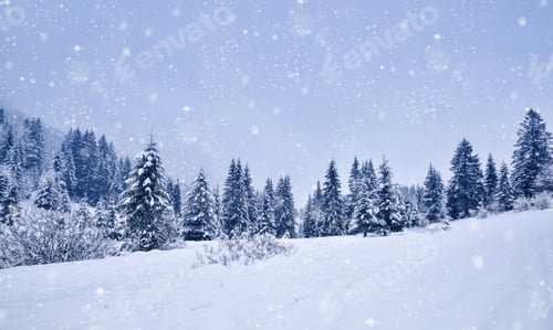 Preview: Beautiful idyllic landscape with evergreen tree forest covered in snow in wintertime