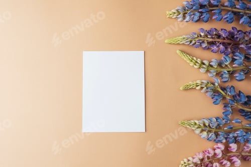 Preview: Blank card with lupine flowers on beige background