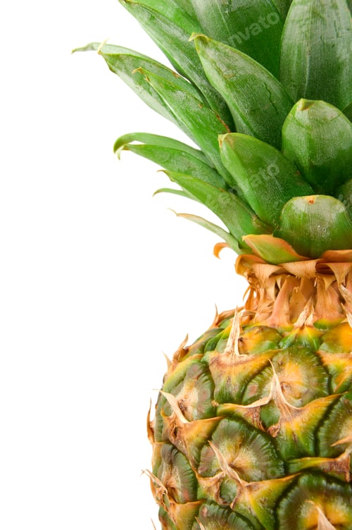 Preview: Tropical fruit
