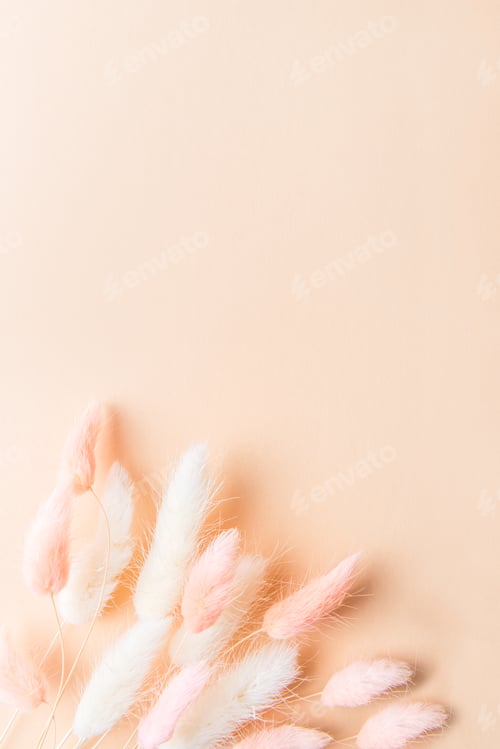 Preview: Rabbit Tail Grass Dried Flowers Bouquet