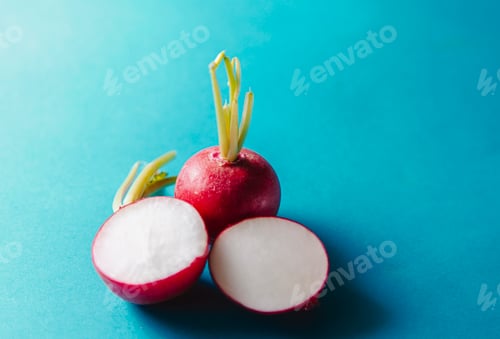 Preview: Close up detail view of small red radish over pastel blue backdrop with minimal style, copy space