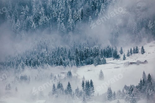 Preview: Winter postcard.