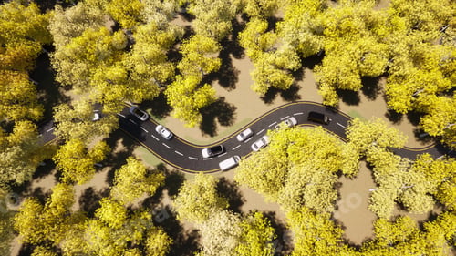 Preview: Car traffic Yellow Autumn forest nature road landscape. Beautiful fall nature Top view 3d rendering