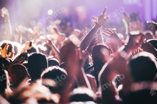 Preview: Cheering crowd at concert enjoying music performance