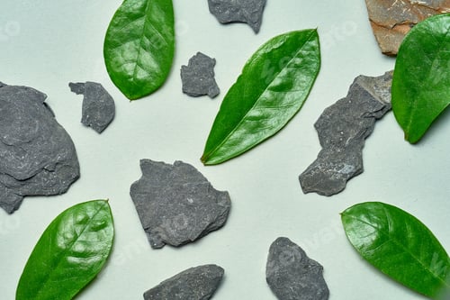 Preview: Screensaver poster. Pattern with green leaves and gray stones. Nature and environment