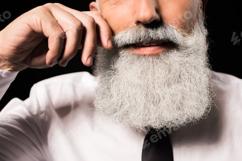Preview: Cropped shot of a man with a long beard twisting moustache
