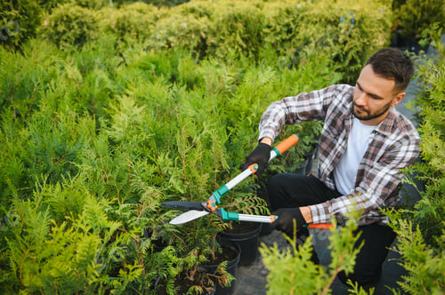Preview: Garden Pruning Works to Maintain the Appearance of Shrubs, Bushes, Trees and Other Plants.