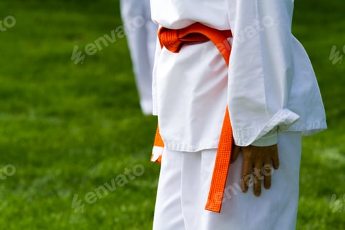Preview: Tae Kwon Do