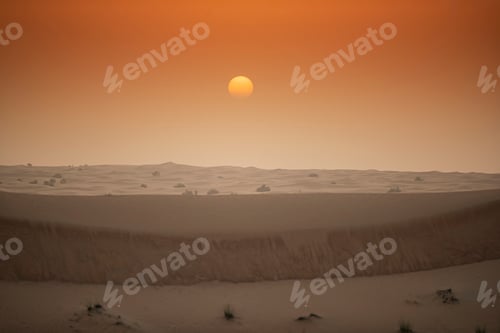Preview: Arabian Oryx in the red sands desert conservation area of Dubai, United Arab Emirates
